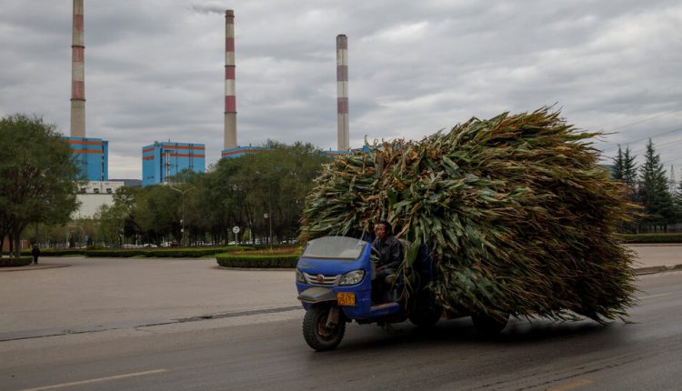 Jobs, Houses and Cows: China’s Costly Drive to Erase Extreme Poverty