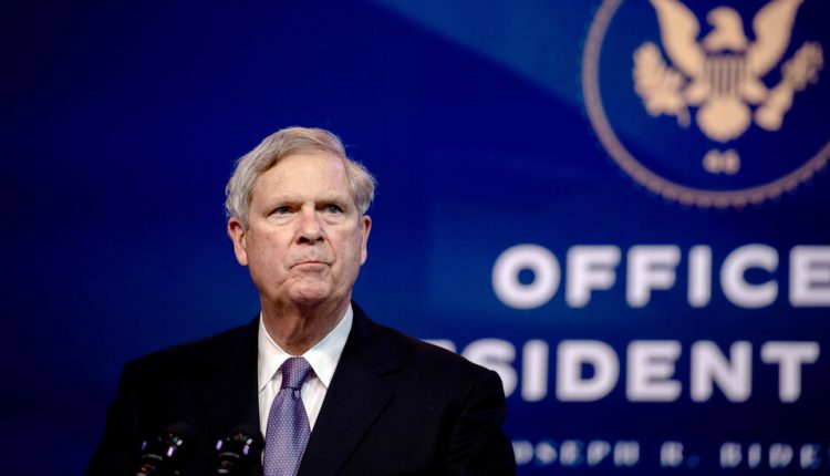 Biden’s Choice of Vilsack for U.S.D.A. Raises Fears for Small Farmers