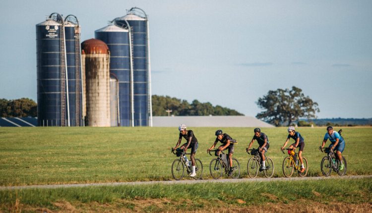 trips - The New York Times