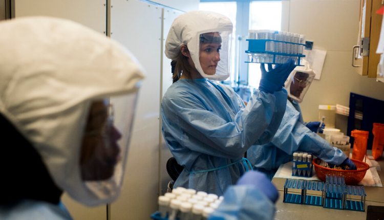 The Coronavirus Is a Master of Mixing Its Genome, Worrying Scientists