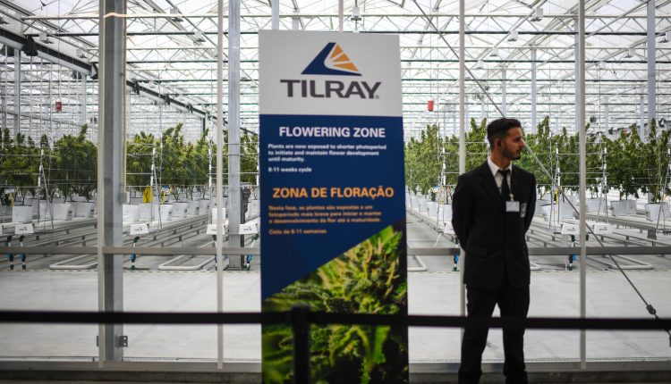 Tilray stock rallies on pot distribution agreement with Grow Pharma