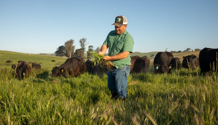 Pay farmers to cut carbon footprint
