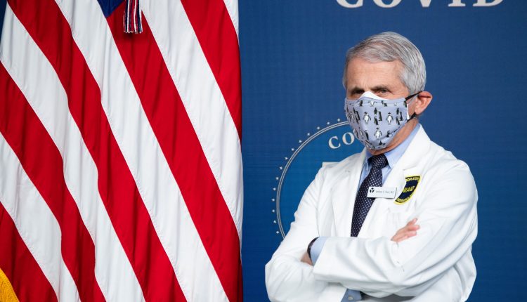 Biden Covid team holds press briefing as U.S. daily cases begin to level off