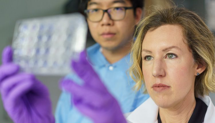 Piecing Together the Next Pandemic