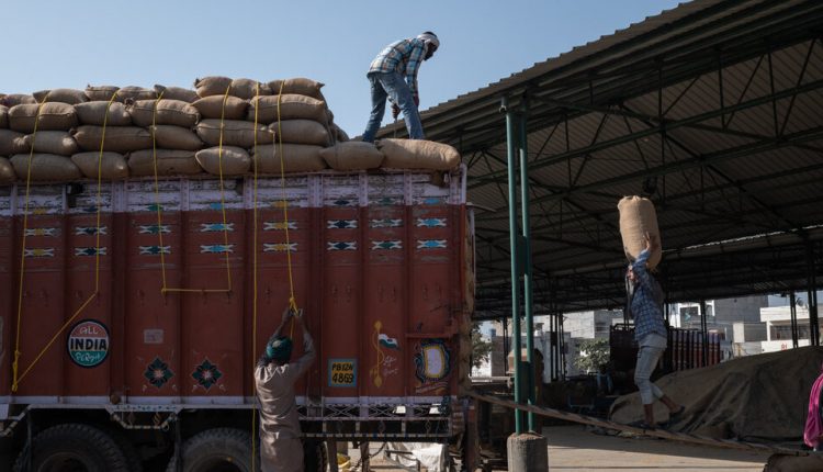 India's Farm Subsidies Lead to Waste but Support Millions