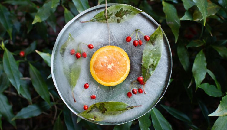 Make Ice Ornaments At Home