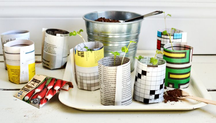 How To Grow Seedlings With Newspaper