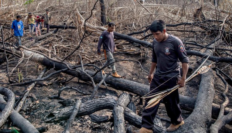 There’s a Global Plan to Conserve Nature. Indigenous People Could Lead the Way.
