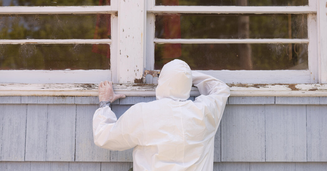 Pandemic Raises Concerns About Childhood Lead Poisoning