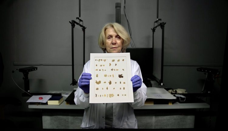 Israel Reveals Newly Discovered Fragments of Dead Sea Scrolls