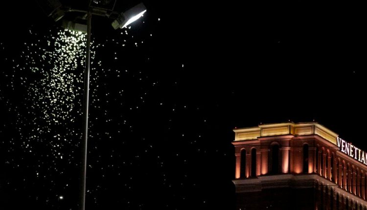 That Night 46 Million Grasshoppers Went to Vegas