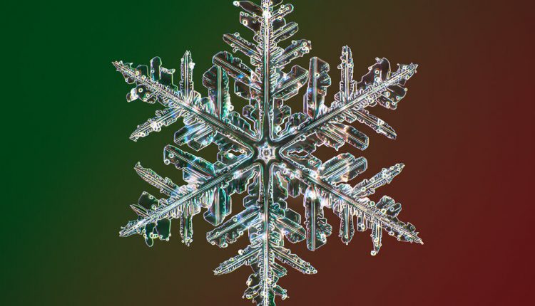 Photos of Snowflakes Like You've Never Seen Them Before
