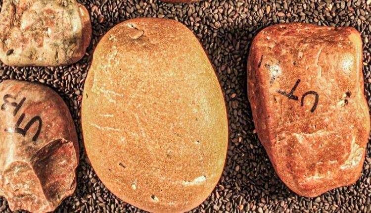 These Rocks Made a 1,000-Mile Trek. Did Dinosaurs Carry Them?