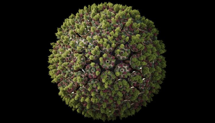 NFTs Are Shaking Up the Art World. Are They Also Fueling Climate Change?