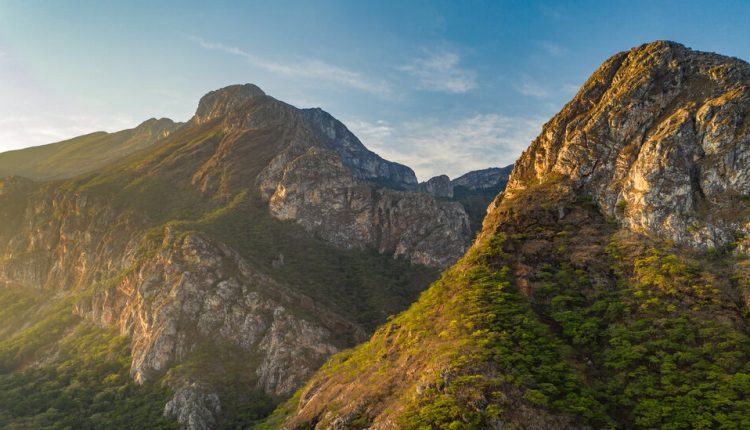 Mozambique Mints a New National Park — and Surveys Its Riches