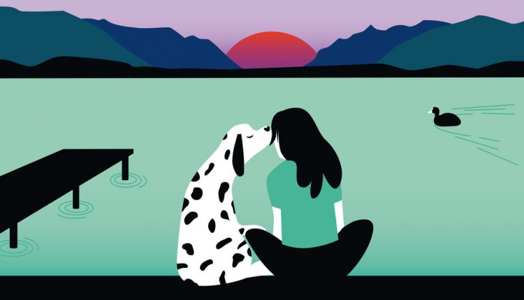 How Losing a Pet Can Make You Stronger