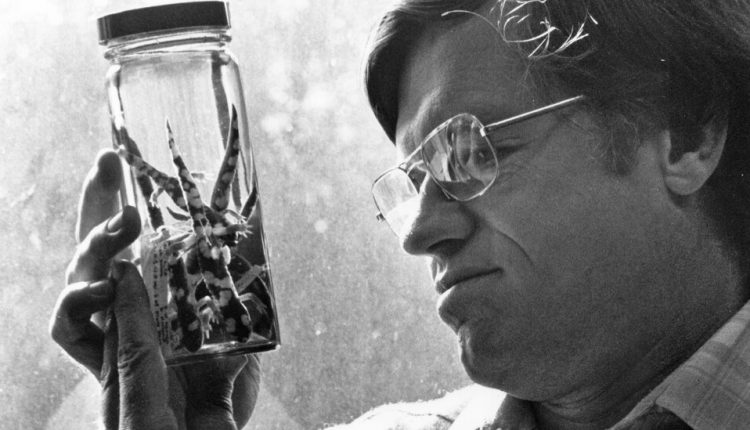David Wake, Expert on Salamanders and Evolution, Dies at 84