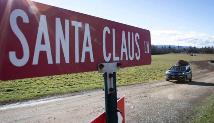 In a Hard Year, Families Find Joy in Real Christmas Trees