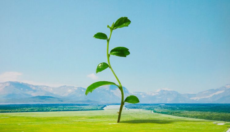 For a Healthier 2021, Keep the Best Habits of a Very Bad Year