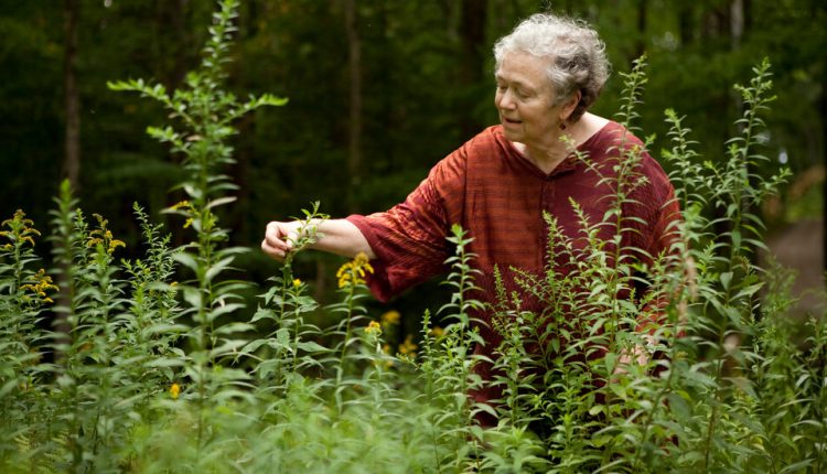 Mary Catherine Bateson Dies at 81; Anthropologist on Lives of Women