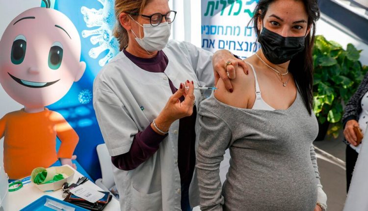 Pregnant Women May Receive Covid Vaccines Safely, W.H.O. Says