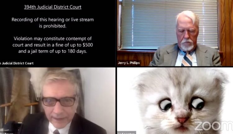 ‘I’m Not a Cat,’ Says Lawyer Having Zoom Difficulties
