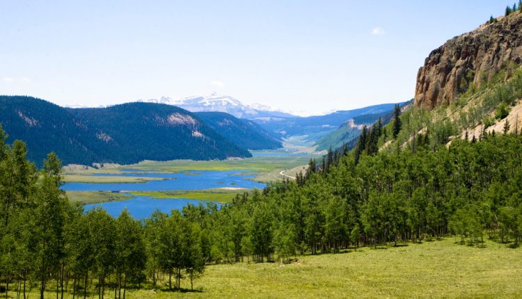 For Travel, a Sustainable Comeback?