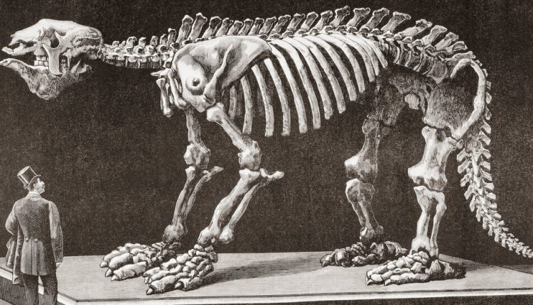 Decolonizing the Hunt for Dinosaurs and Other Fossils