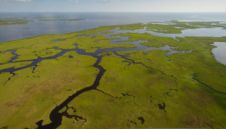 Big Step Forward for $50 Billion Plan to Save Louisiana Coast
