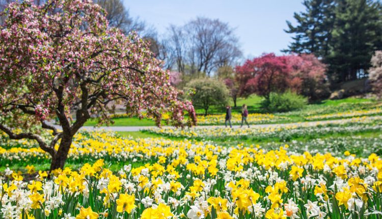 8 Public Gardens From Across the United States