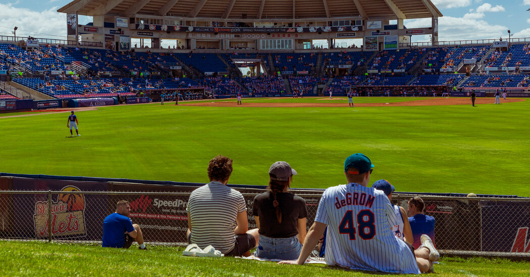 Rooting for Your Home Team in Person? Here’s What You Need to Know.