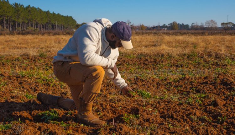 Biden Administration Ramps Up Debt Relief Program to Help Black Farmers