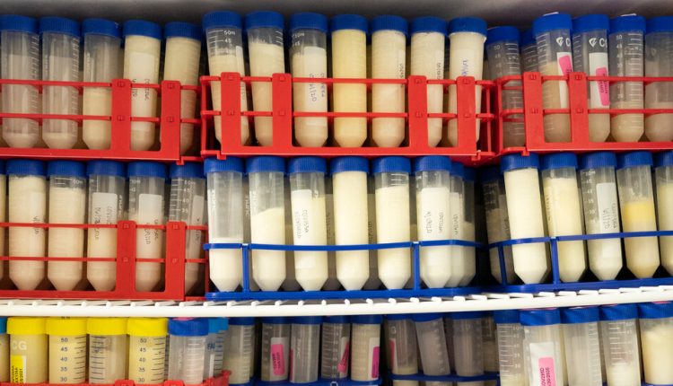 Vaccinated Mothers Are Trying to Give Babies Antibodies via Breast Milk