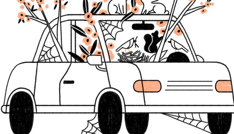 Car Maintenance During the Pandemic