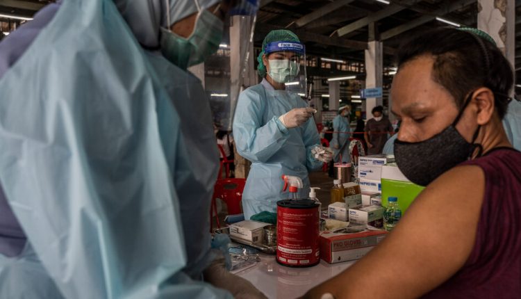 Researchers Are Hatching a Low-Cost Covid-19 Vaccine