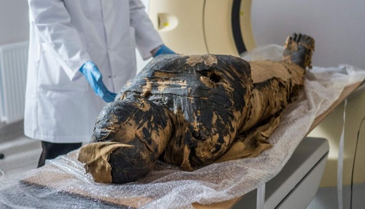 Discovery of Pregnant Egyptian Mummy Is a First, Researchers Say