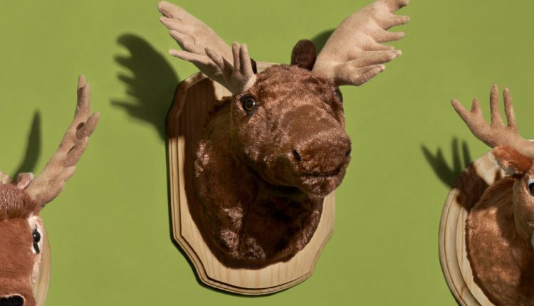 The Dead Moose in the Office Next Door
