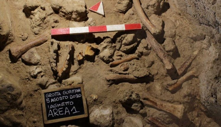 These Neanderthals Weren’t Cannibals, So Who Ate Them? Stone Age Hyenas.