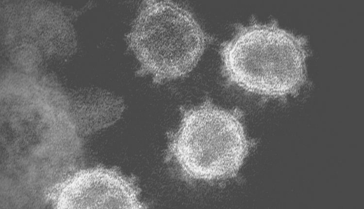 As Covid Guidance Evolves, So Does a Virus Briefing