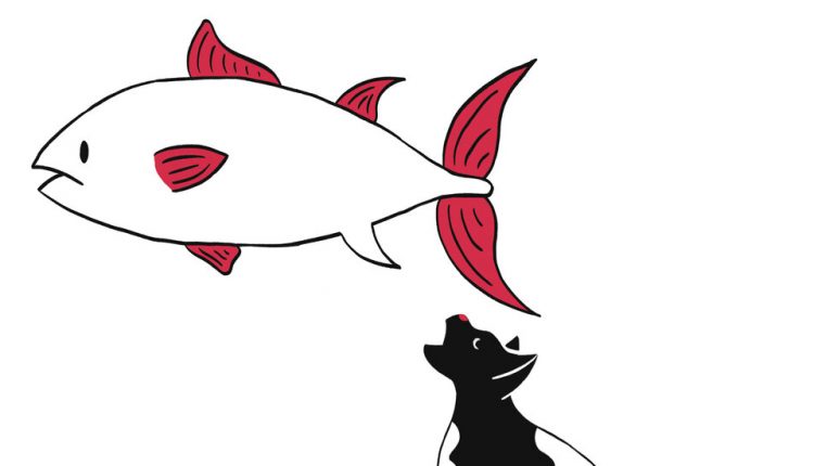 Did My Cat Just Hit On Me? An Adventure in Pet Translation